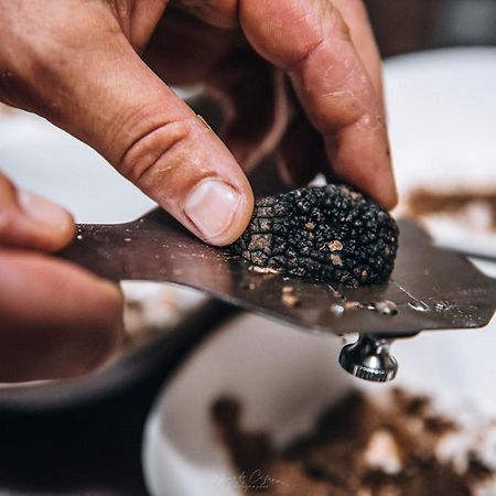 La Casa Del Tartufo Daire Torri in Sabina Dış mekan fotoğraf