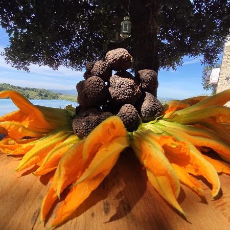 La Casa Del Tartufo Daire Torri in Sabina Dış mekan fotoğraf