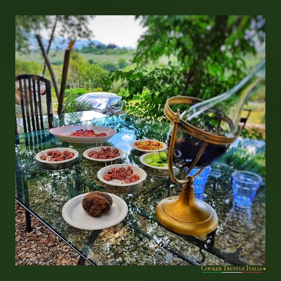 La Casa Del Tartufo Daire Torri in Sabina Dış mekan fotoğraf