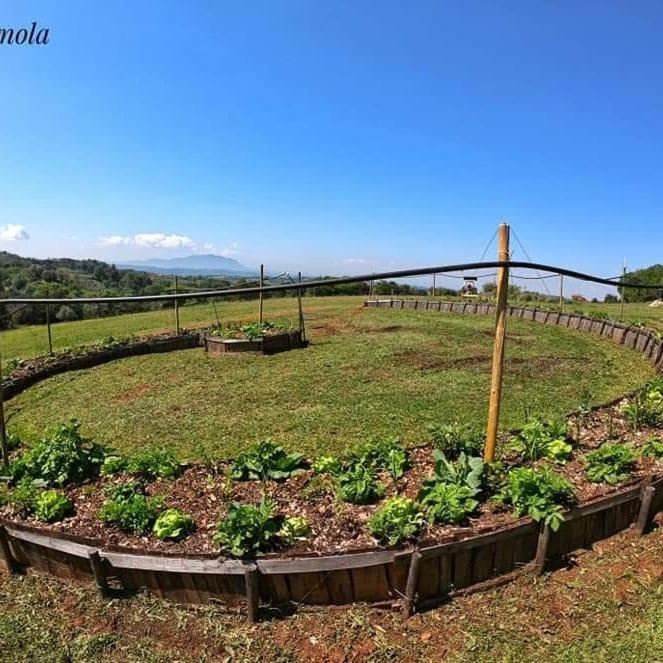 La Casa Del Tartufo Daire Torri in Sabina Dış mekan fotoğraf