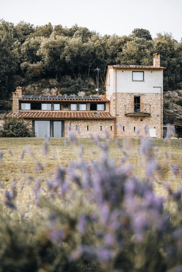 La Casa Del Tartufo Daire Torri in Sabina Dış mekan fotoğraf